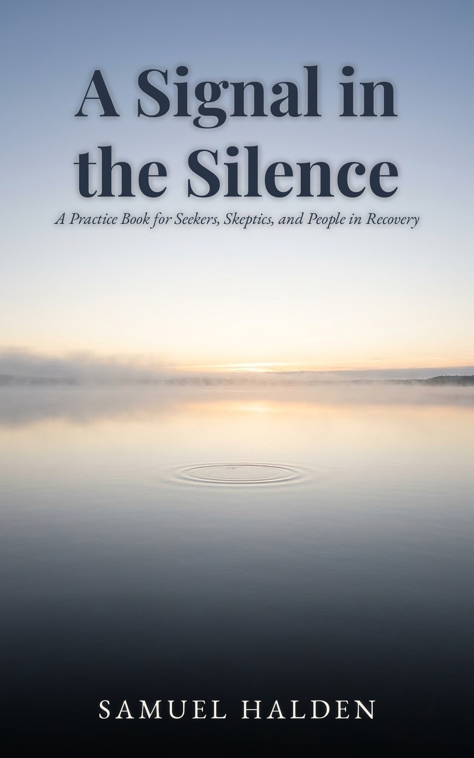 Cover of A Signal in the Silence by Samuel Halden