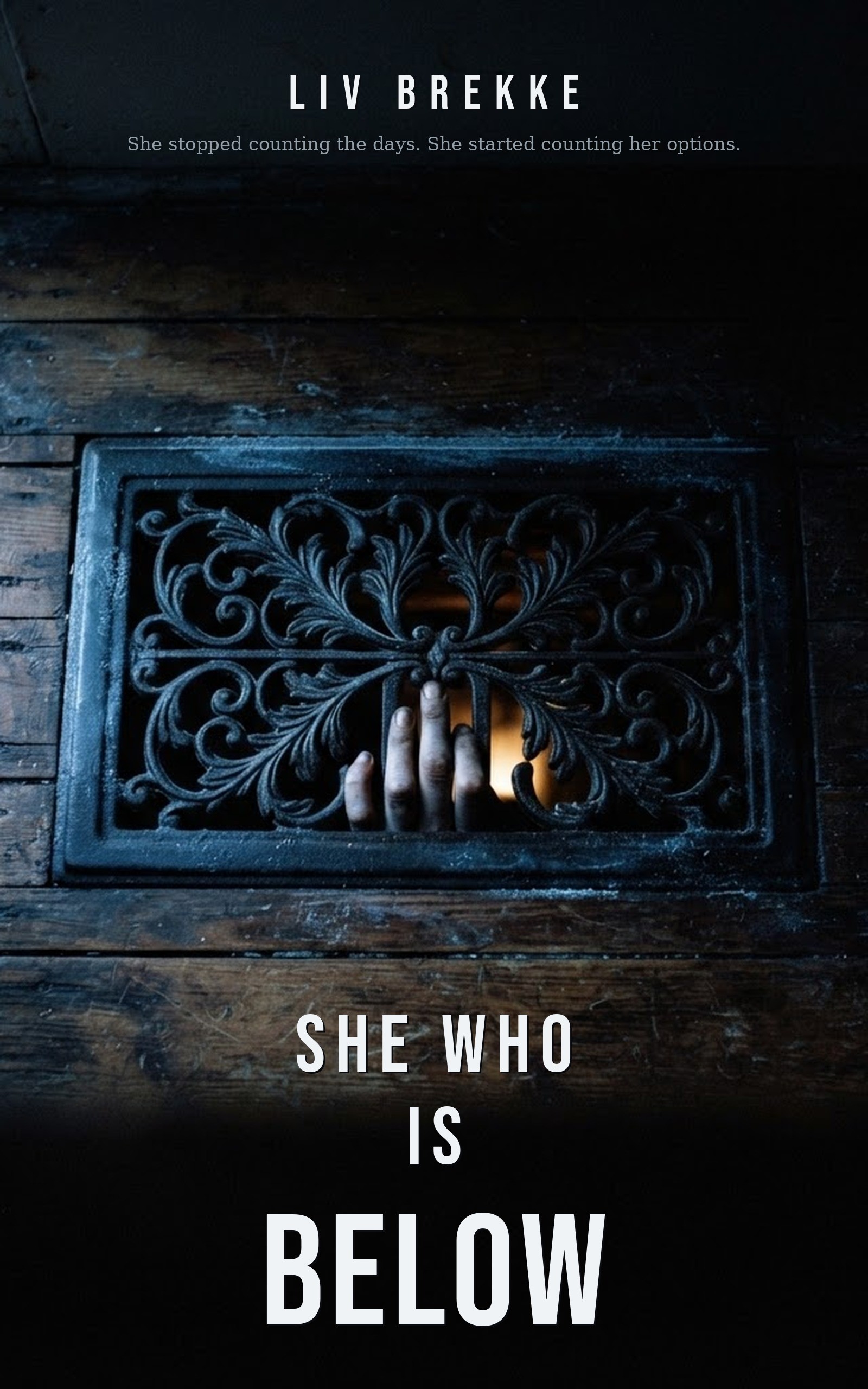 Cover of She Who Is Below by Liv Brekke